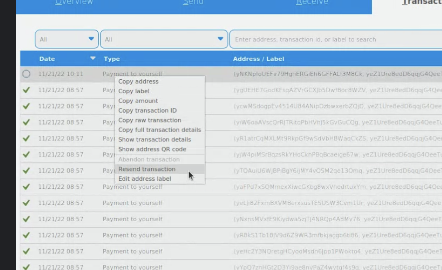../../../../_images/resend-transaction.png