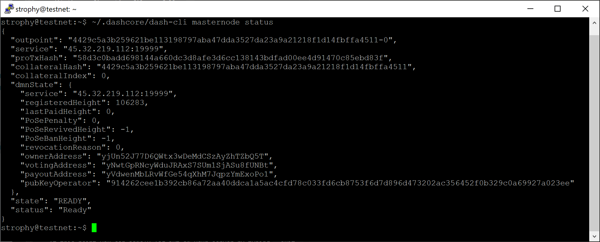 ../../../_images/setup-dash-cli-start.png